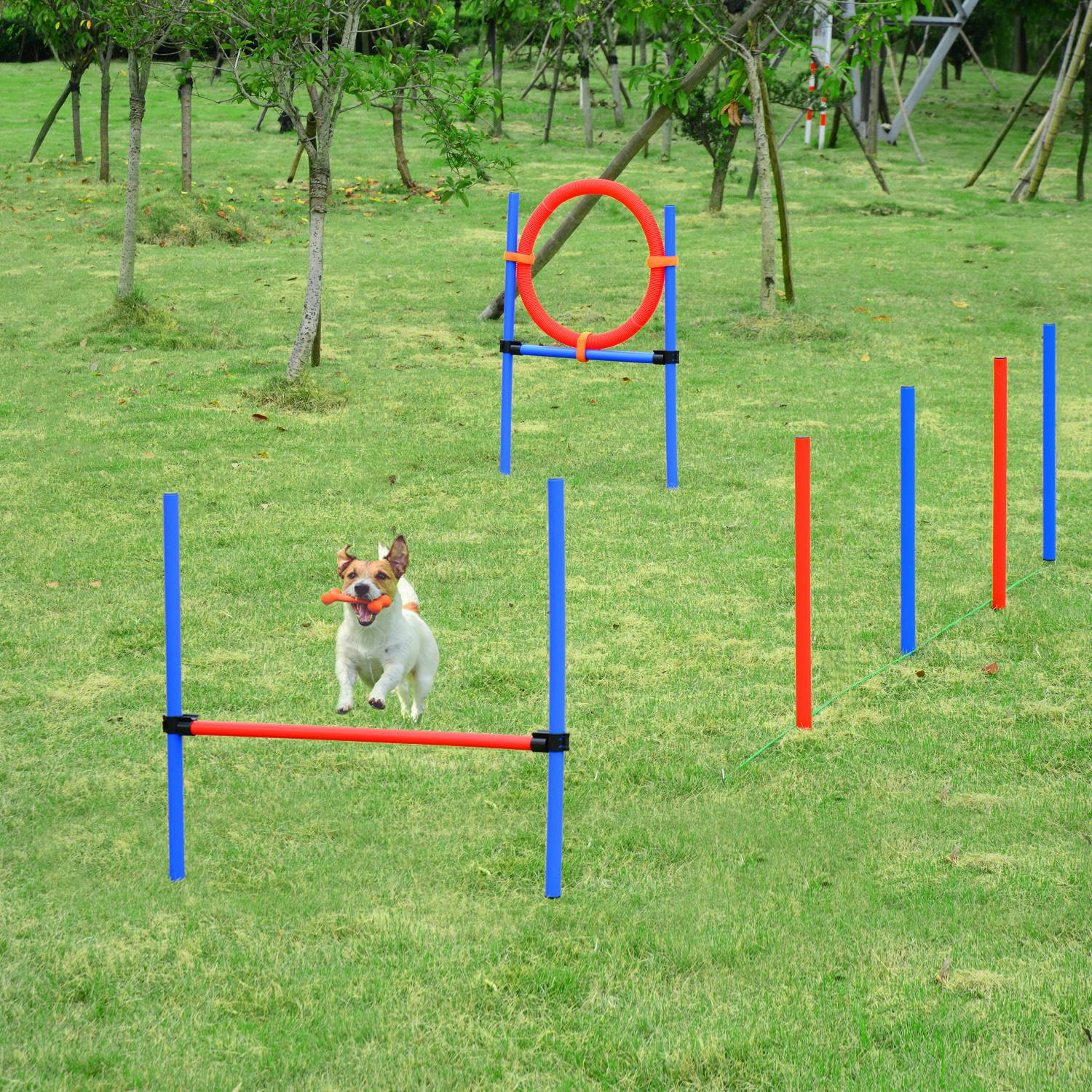 Parcours d'agility pour chien acier rouge et bleu 95 x 15 x 60 cm - PANGIVO - Image 4