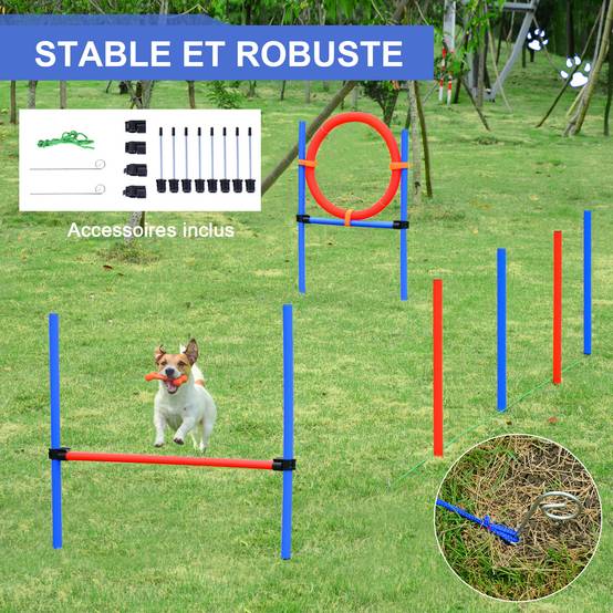 Parcours d'agility pour chien acier rouge et bleu 95 x 15 x 60 cm - PANGIVO - Image 8