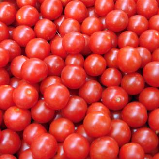 Graines de Tomate cerise Crokini F1 le sachet de 12 graines environ