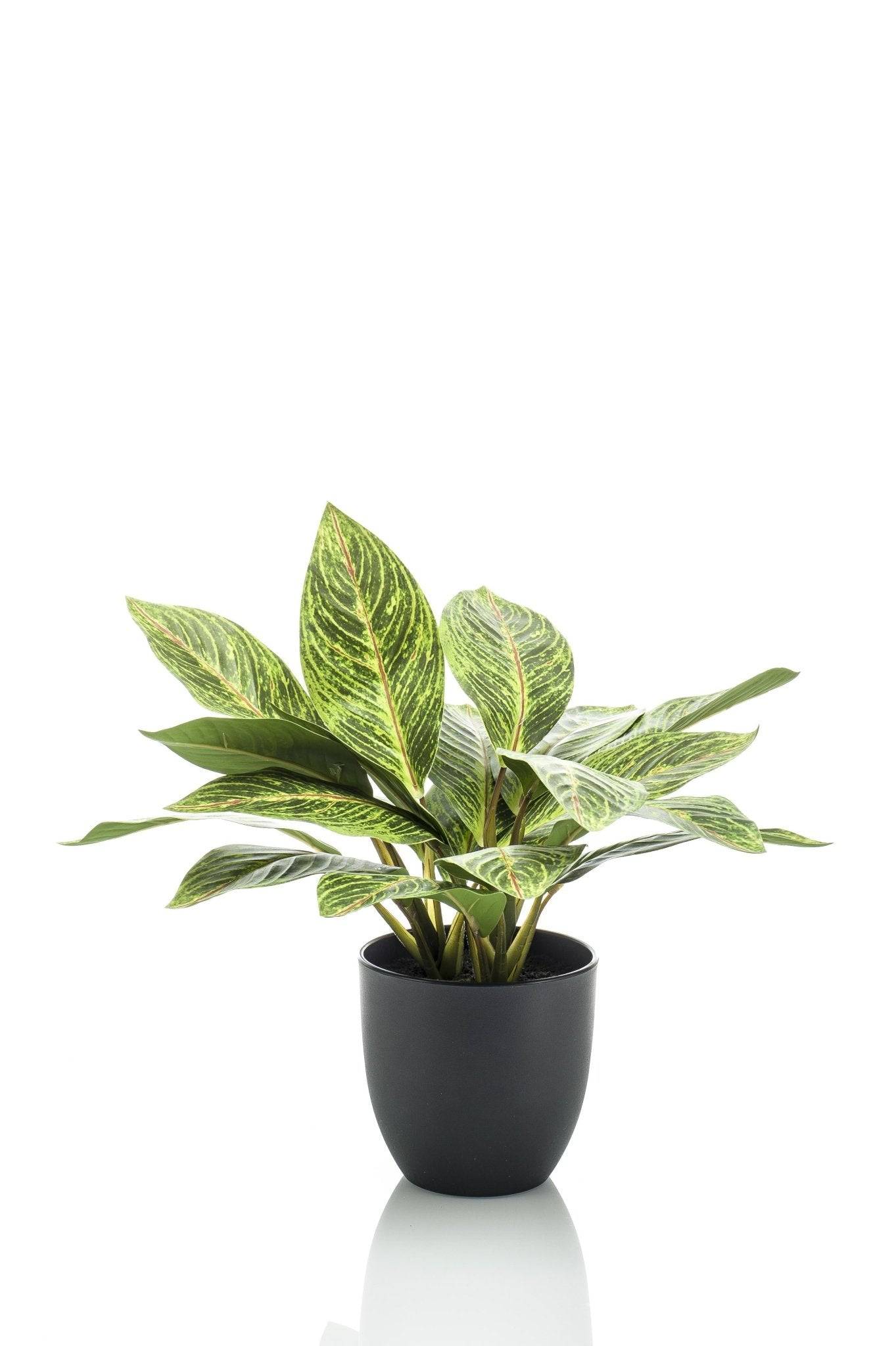 La Green Touch - Croton Codiaeum plante artificielle - h38cm, Ø15cm- La Green Touch - Image 1