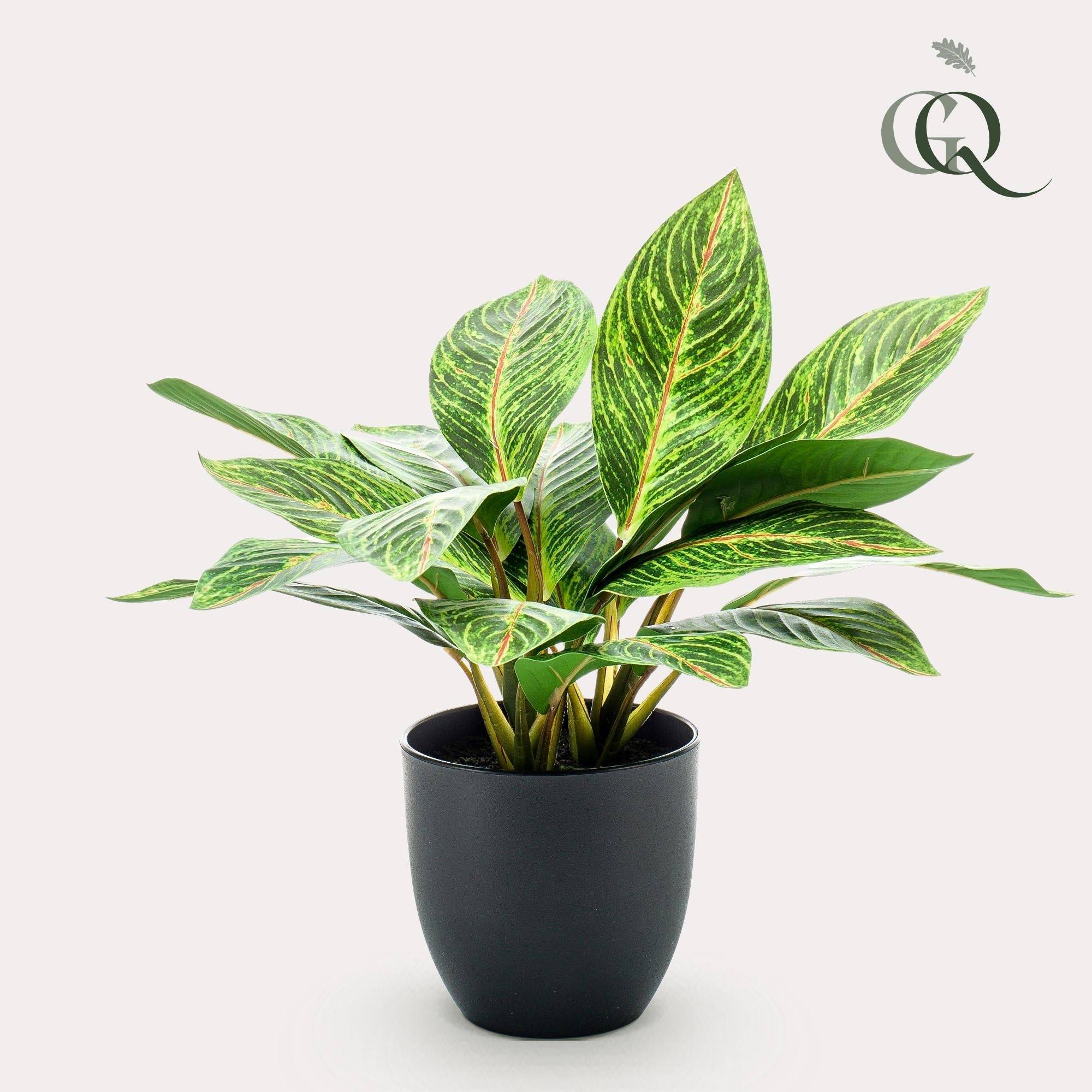 La Green Touch - Croton Codiaeum plante artificielle - h38cm, Ø15cm- La Green Touch - Image 2