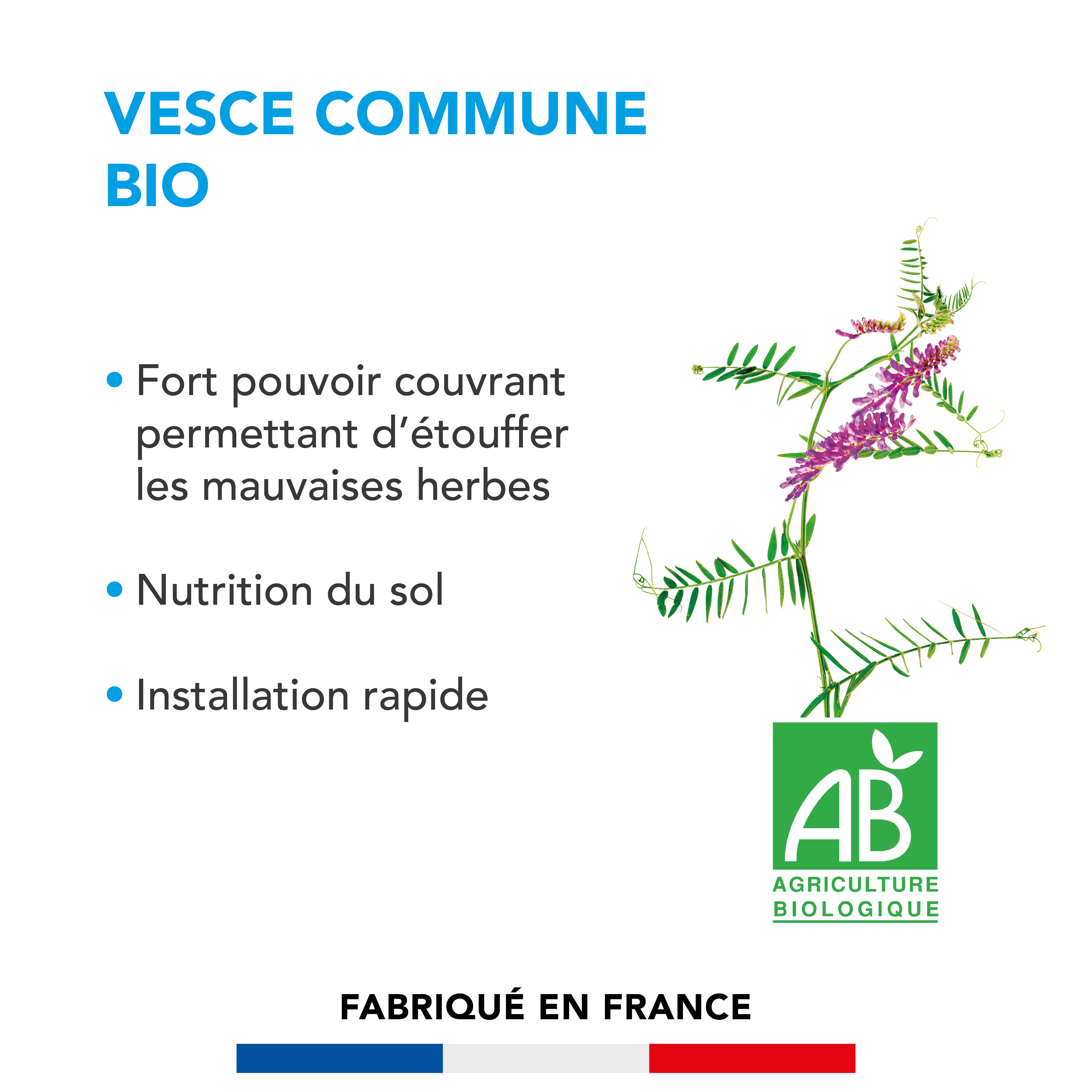 Barenbrug - Vesce commune - Étouffe Mauvaises Herbes - Nutrition Sol - Installation Rapide - Évite Migration Nitrates- 500G - BARENBRUG - Image 2
