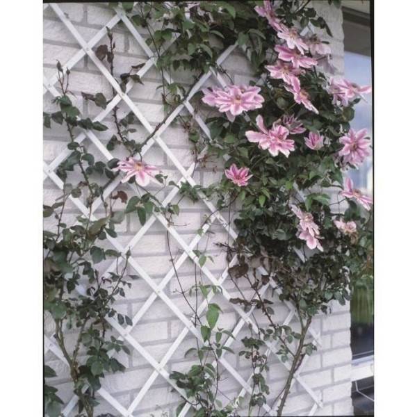 Treillis extensible plastique vert - NATURE - 100x200cm - Profil 23x7 mm - Set de fixation - Image 1