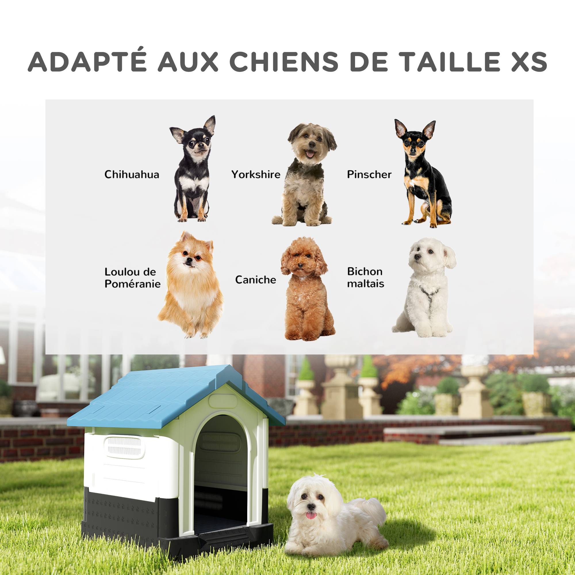 Sans Marque - Niche pour chien chenil à l'extérieur pour chiens de petite et moyenne taille 64,5 x 57 x 66 cm blanc et bleu - Image 6