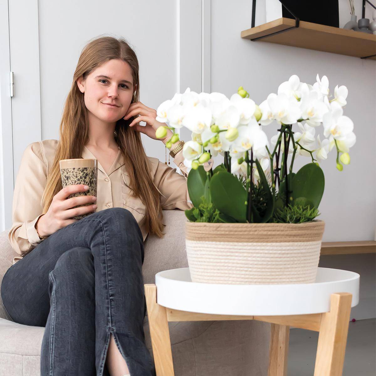 Panier en coton avec 3 orchidées blanches et arrosage intégré- La Green Touch - Image 2