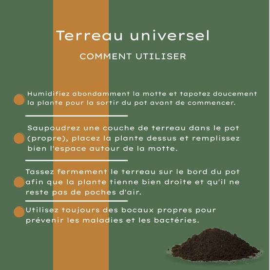 PANGIVO - Terreau universel tourbe marron 30 L - PANGIVO - Image 8