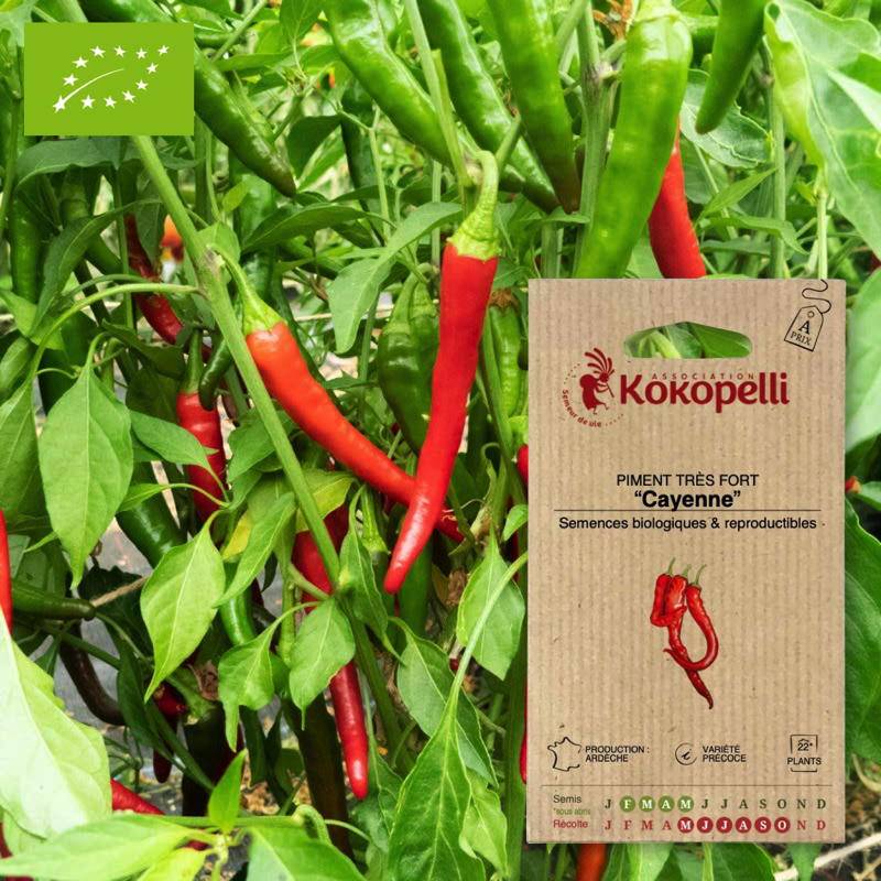 Graines bio à semer - Piment Très Fort Cayenne- Association Kokopelli