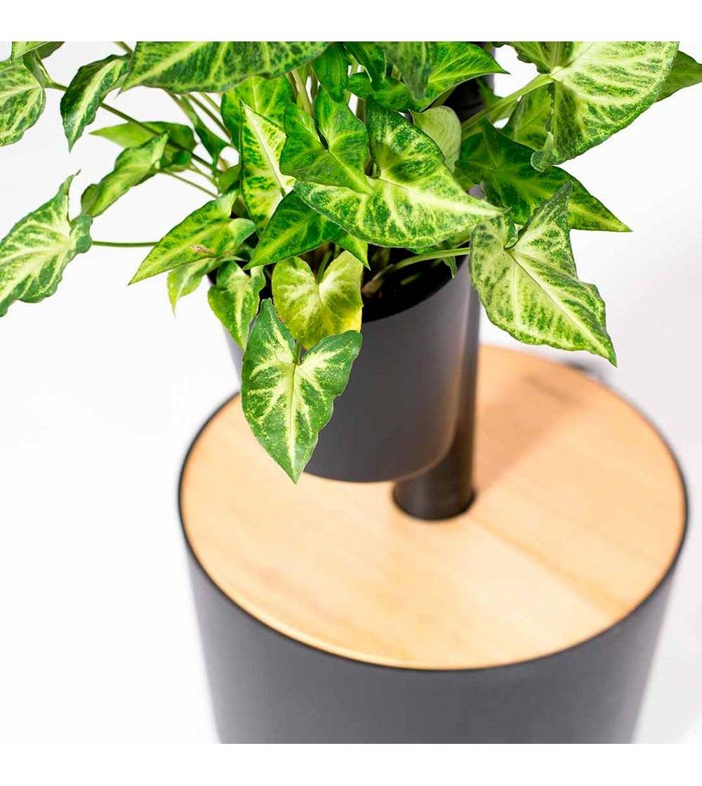 Jardinière verticale CitySens noire avec 4 pots et arrosage manuel - Image 2