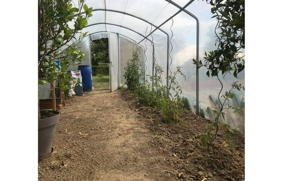 Serre tunnel de jardin - 22m² - 3 x 7,5 m - pieds droits - aérations latérales - 4 saisons - LES SERRES TONNEAU - Image 9