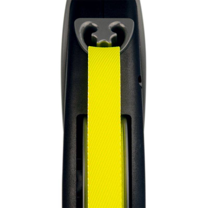 Flexi - Laisse Flexi Giant néon Taille : M - 8M FLEXI - Image 2