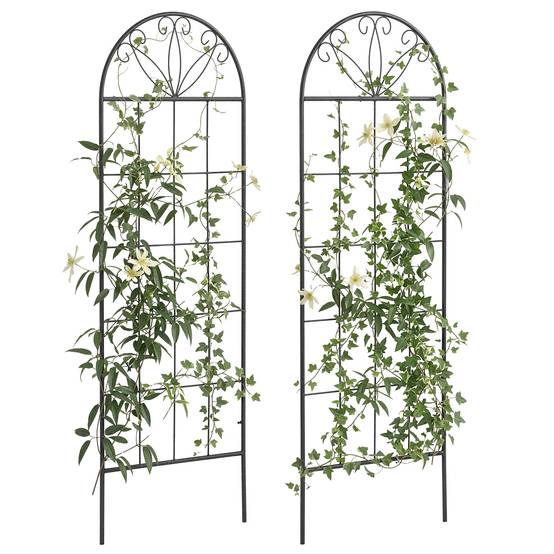 Treillis de jardin lot de 2 acier noir 51 x 1.1 x 152 cm - PANGIVO - Image 1