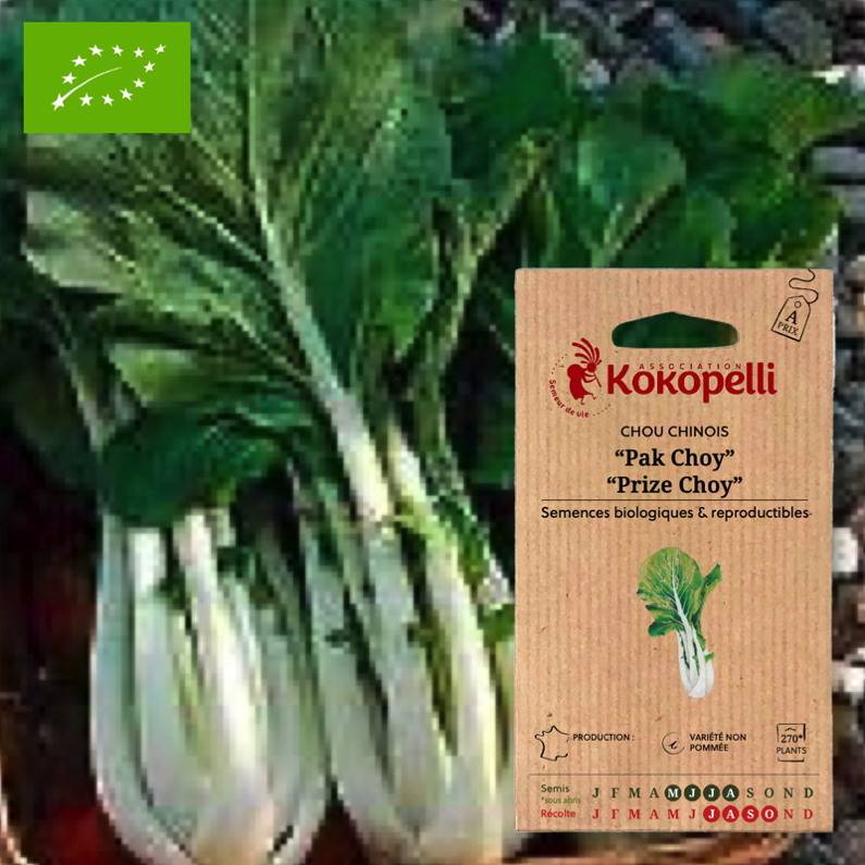 Association Kokopelli - Chou Chinois Pak Choy- Graines bio à semer