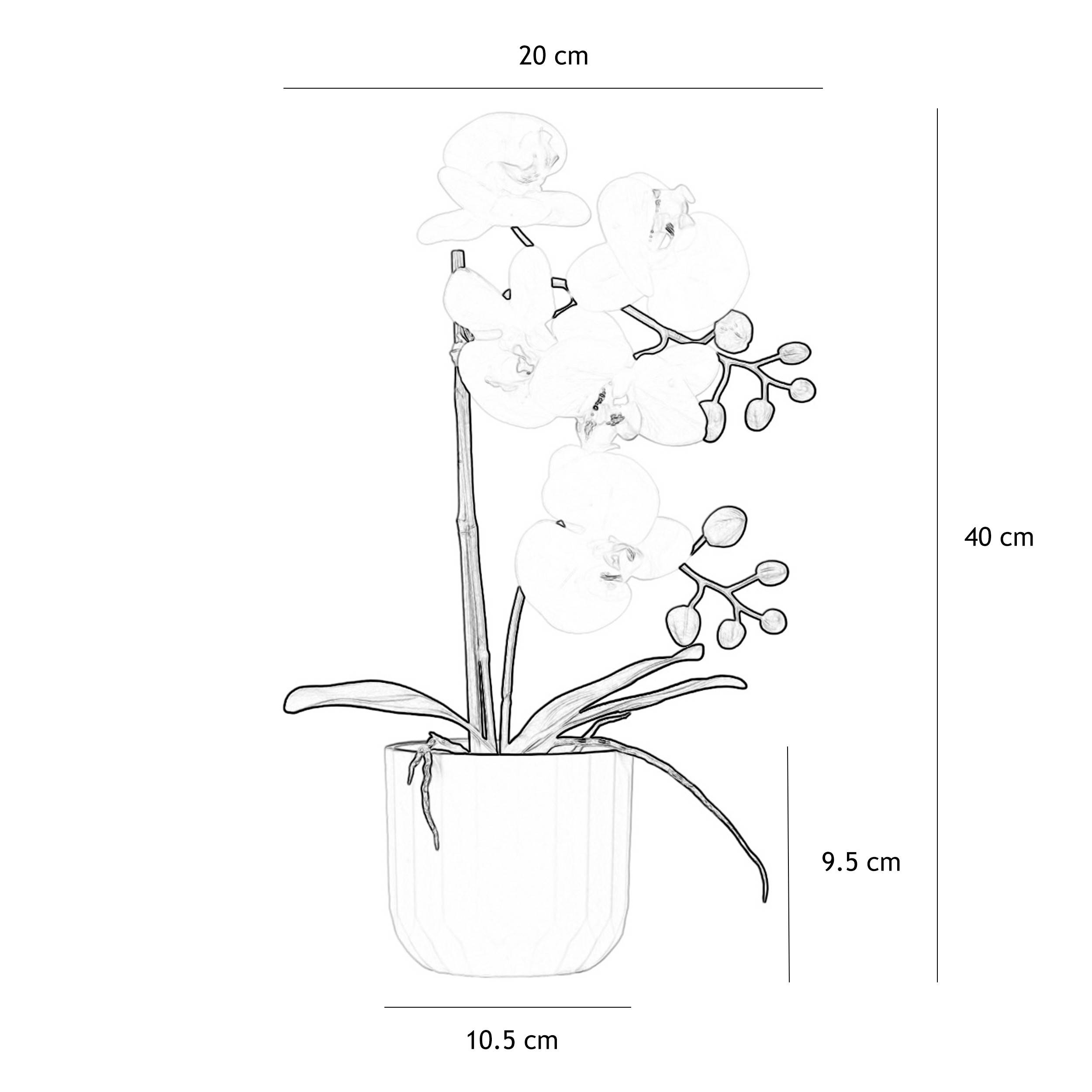 Ligne Deco - Orchidée artificielle toucher naturel 40cm Ligne Déco - Image 4