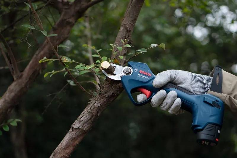 Bosch - Élagueur sans fil Pro Pruner GGP 12V-25 Professional avec 2 Batteries + 1 Chargeur - BOSCH - 06008D8100 - Image 5