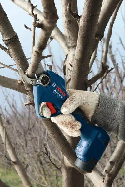 Bosch - Élagueur sans fil Pro Pruner GGP 12V-25 Professional avec 2 Batteries + 1 Chargeur - BOSCH - 06008D8100 - Image 6