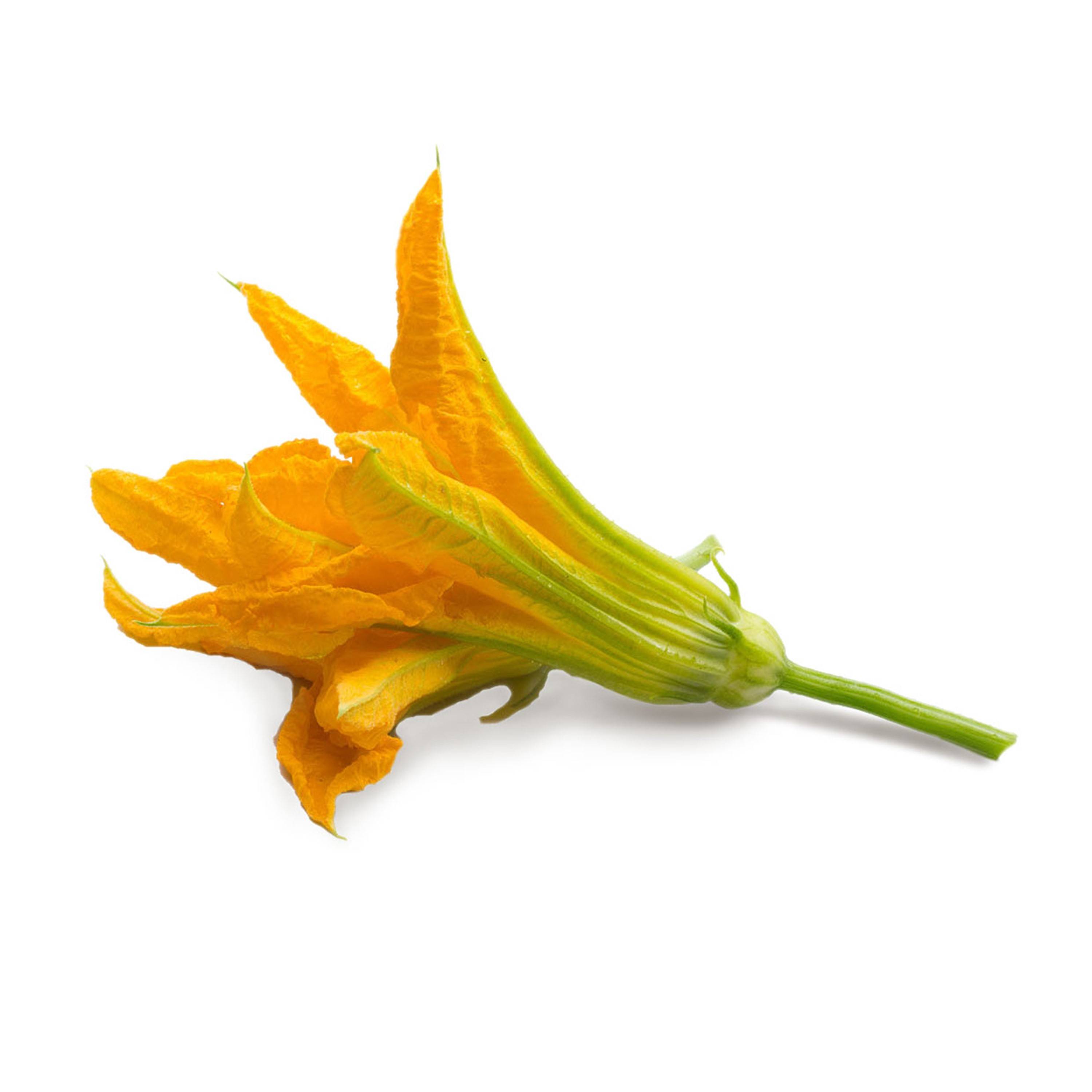 Veritable - Lingot Fleur de Courgette BIO - Recharge prête à l'emploi - Véritable - Image 2