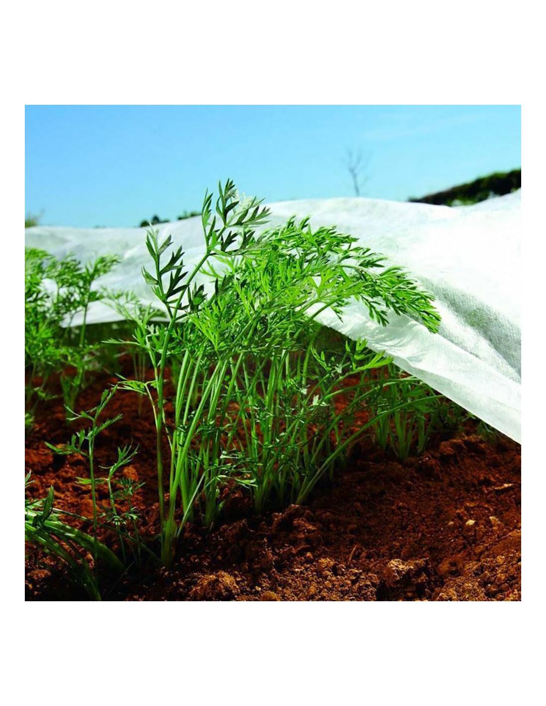 Biotop - Tissu Protection Cultures Biotop Protection Polyvalente Pour Semis Et Légumes - Biotop - Image 2