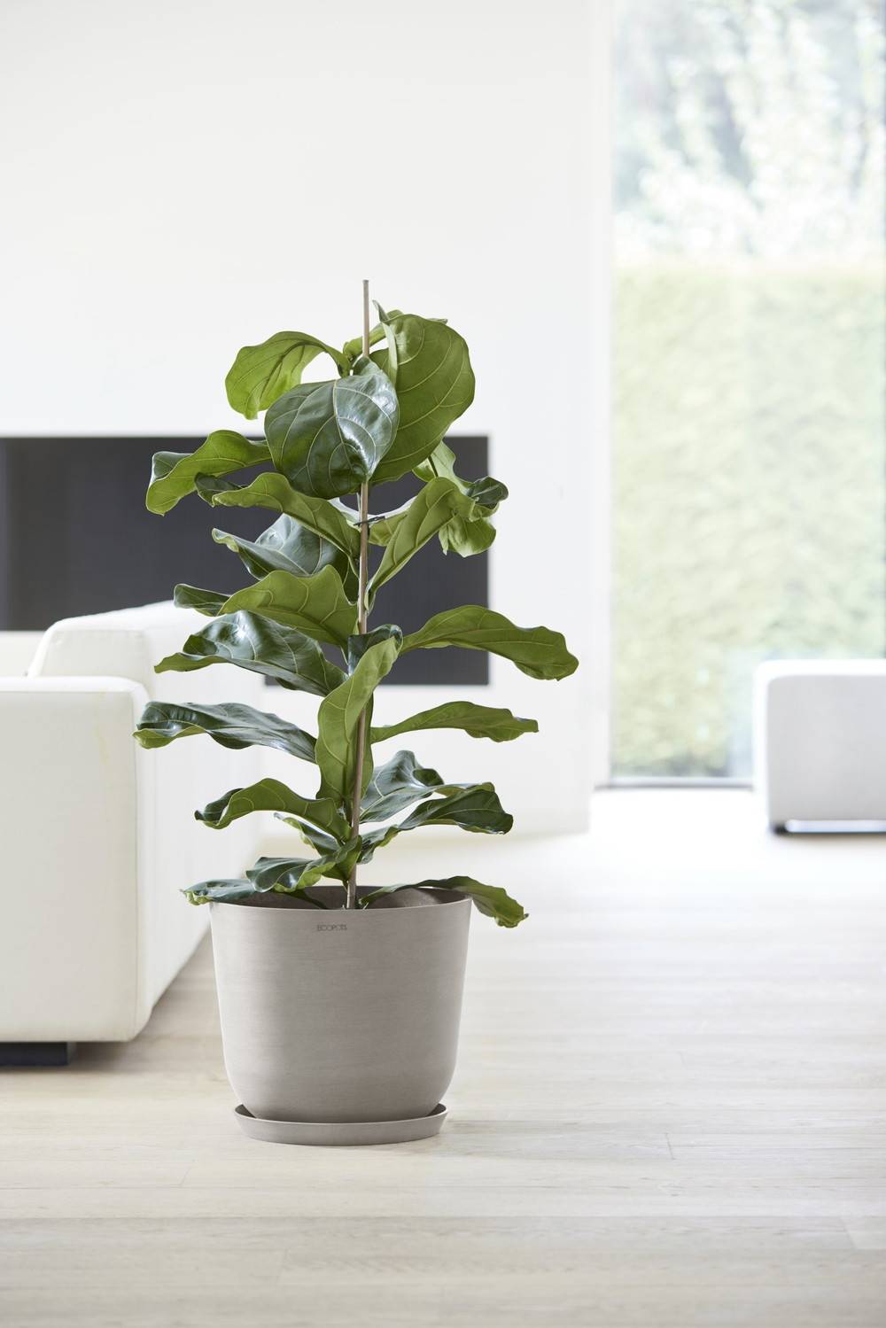 Ecopots - Pot Rond Oslo 35 Taupe - Ø 35 x H. 30,5 cm - 21,7 L ECOPOTS - Image 3