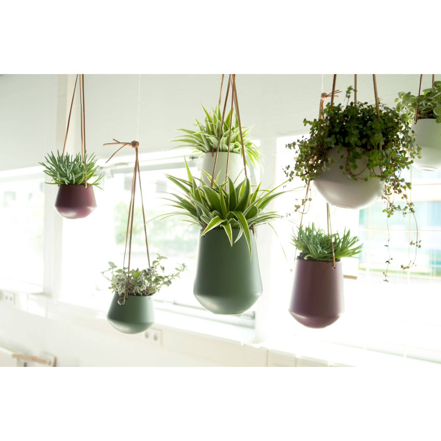 Sans Marque - Cache-pot design suspendu small Skittlie - Image 4