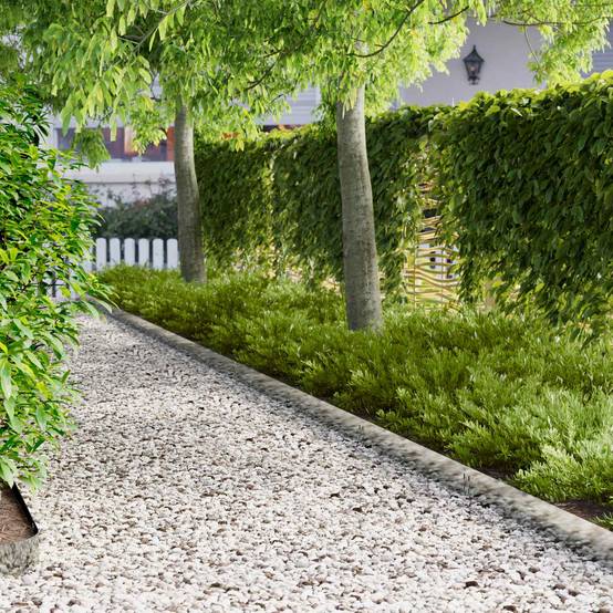 Bordure de pelouse acier jardin aménagement 20 pcs 100x15cm argenté - ComfortXL Outdoor Living - Image 1