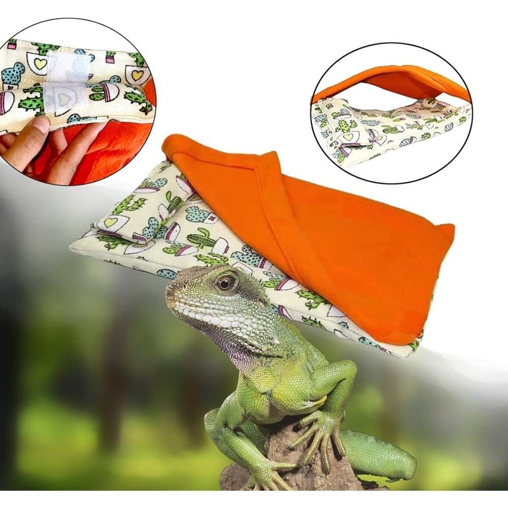 Lit pour dragon barbu DtopbuyAge - Image 3