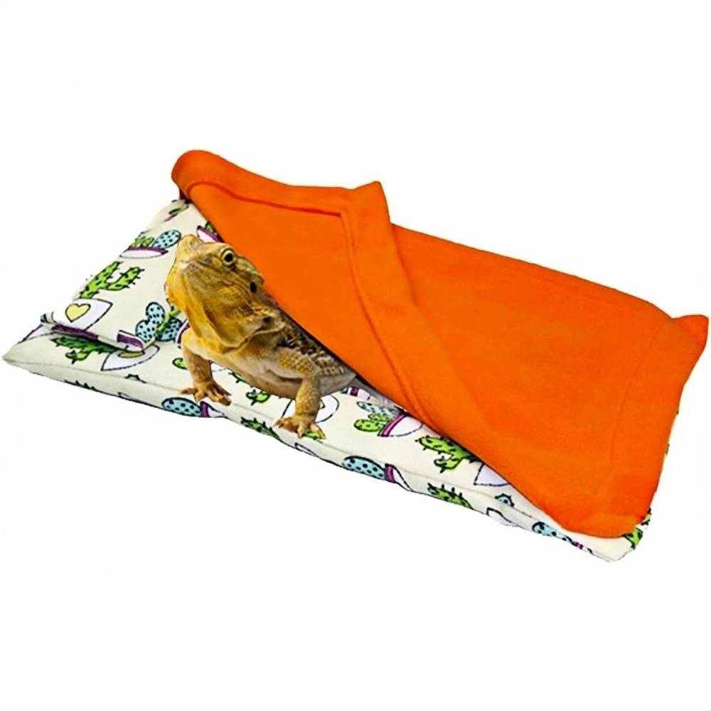 Lit pour dragon barbu DtopbuyAge - Image 1