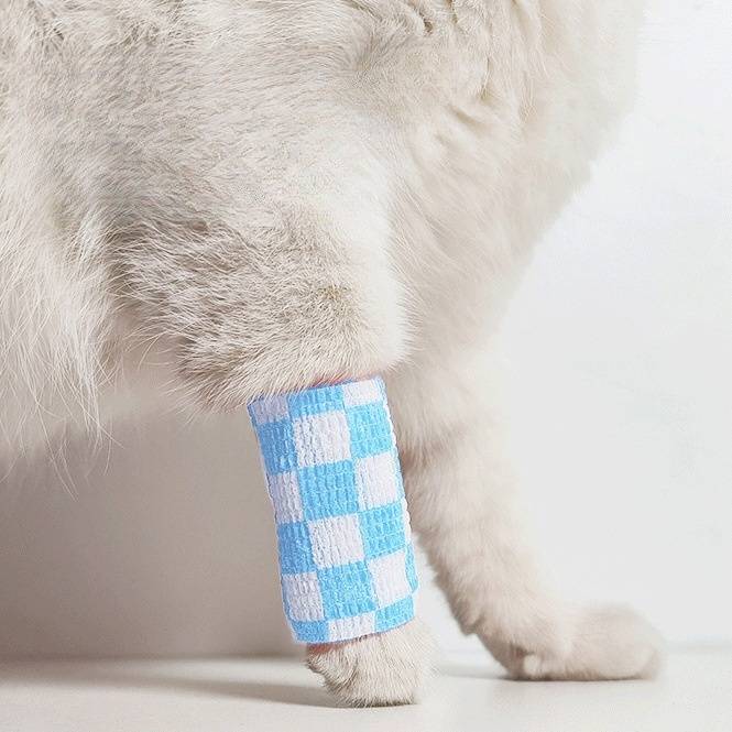 DtopbuyAge - Bandage adhésive anti - salissure pour chien DtopbuyAge - Image 2