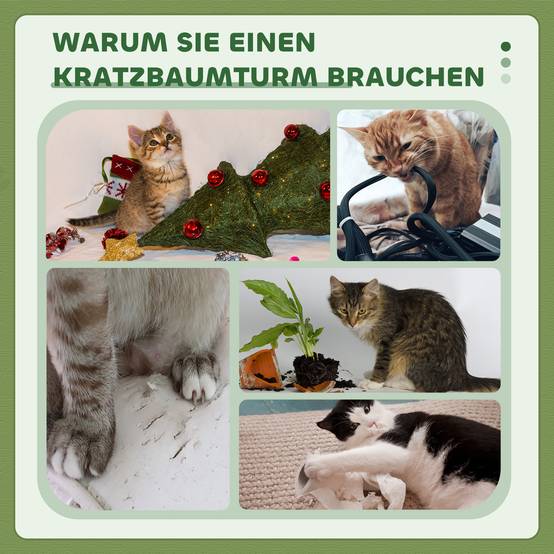 Arbre à chat laine d'agneau et sisal vert 45 x 45 x 91 cm - PANGIVO - Image 9