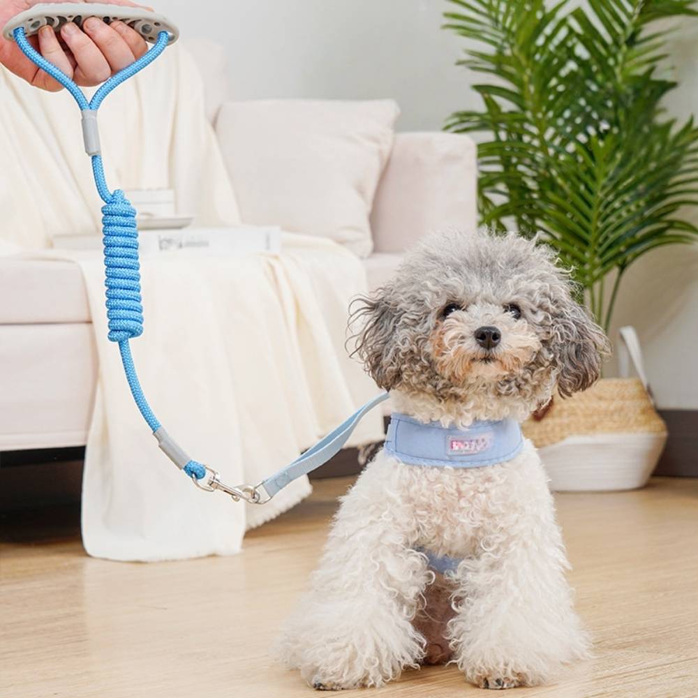 Laisse et gilet de harnais pour chien m - IntiMeg - Image 5