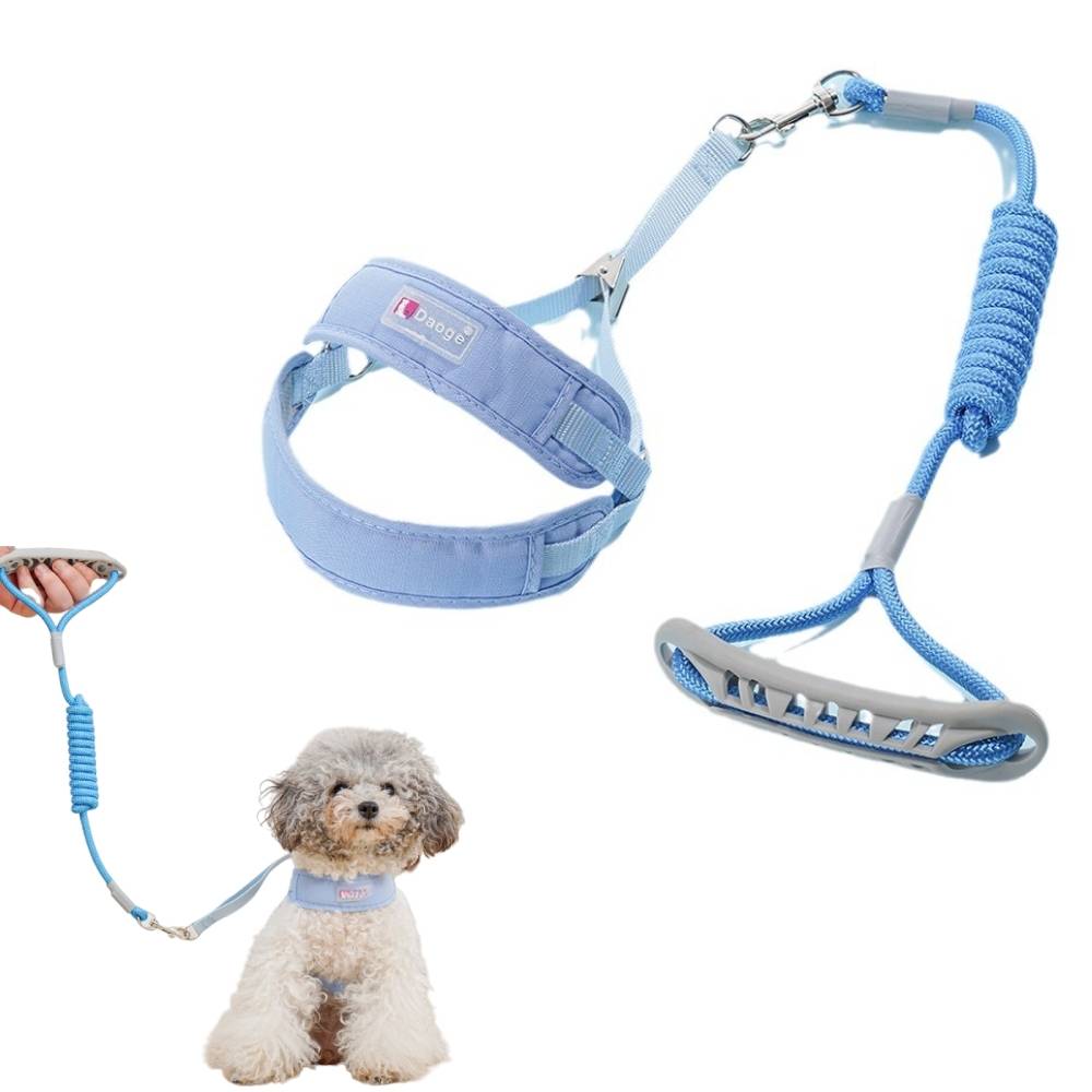 Laisse et gilet de harnais pour chien m - IntiMeg - Image 1