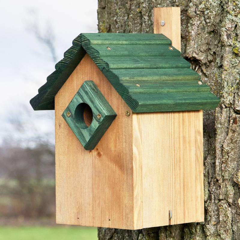 Mangeoire oiseaux extérieur à suspendre pour oiseaux sauvages en bois massif toit vert