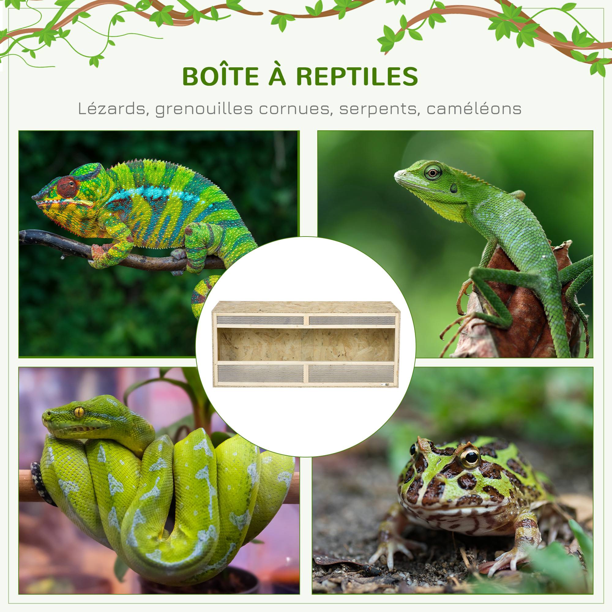 Sans Marque - Terrarium en bois OSB pour reptiles avec porte coulissante en verre - 120 x 50 x 50 cm naturel - Image 6