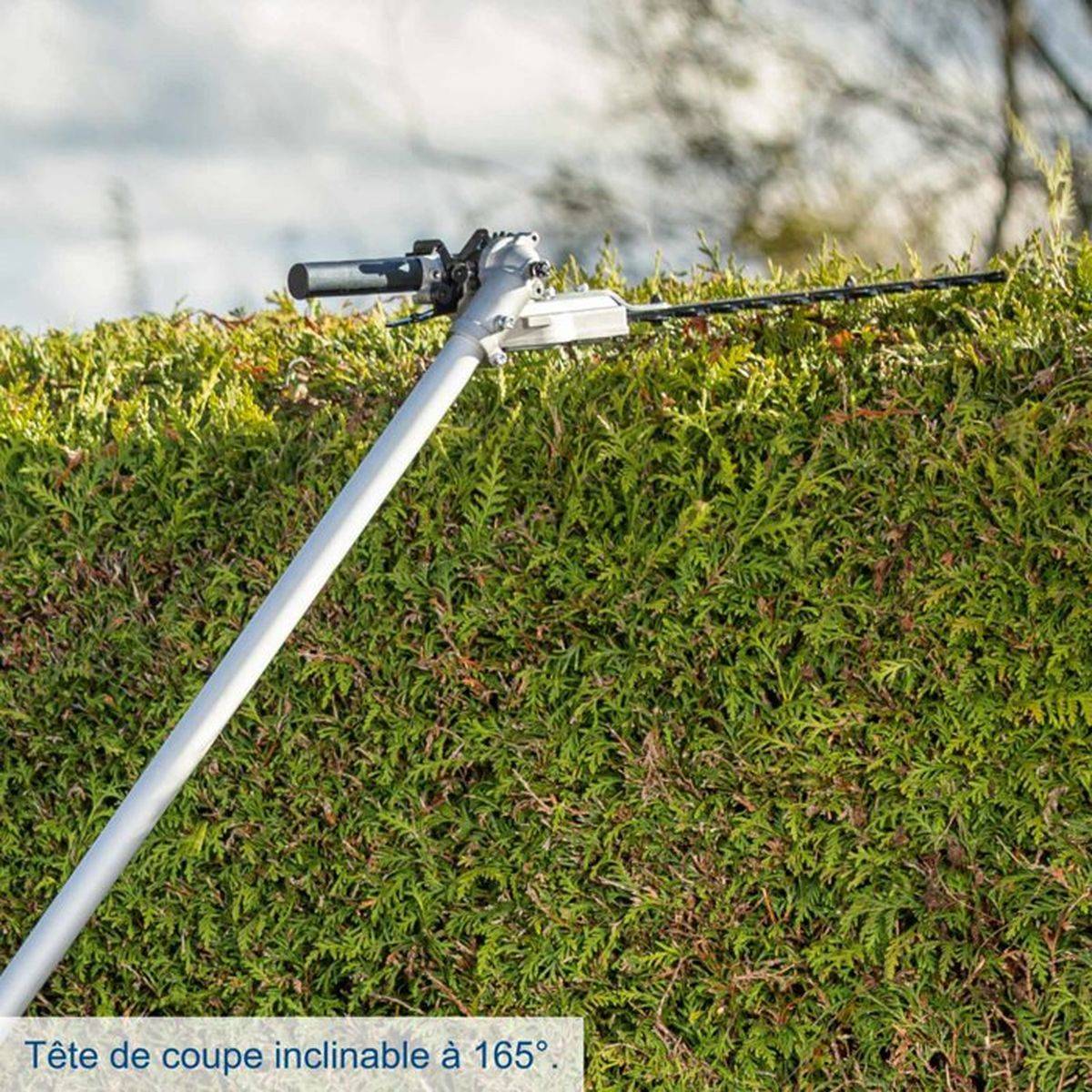 Scheppach - Outil multi-usage sans fil 4 en 1 tondeuse taille-haies coupe-bordure élagueuse 2x20 V 2 Ah - Scheppach - Image 2