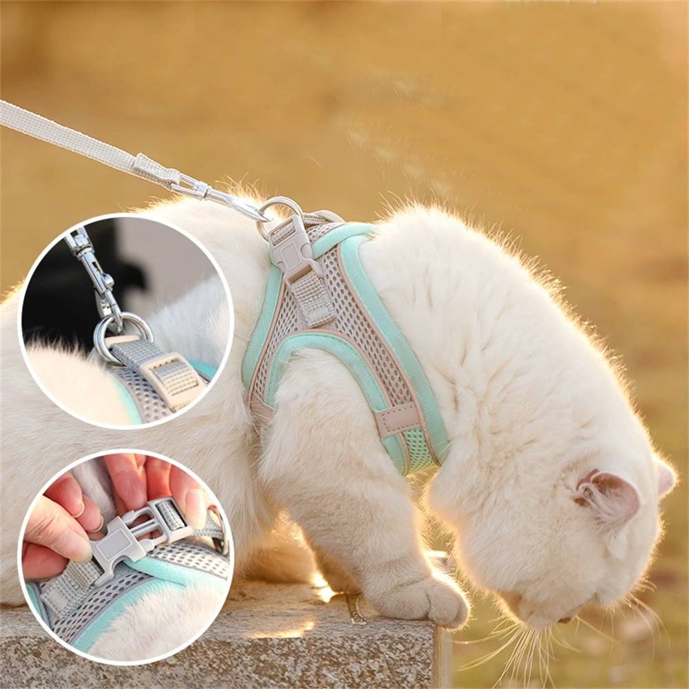 DtopbuyAge - Laisse pour chaton Type de sangle DtopbuyAge - Image 4