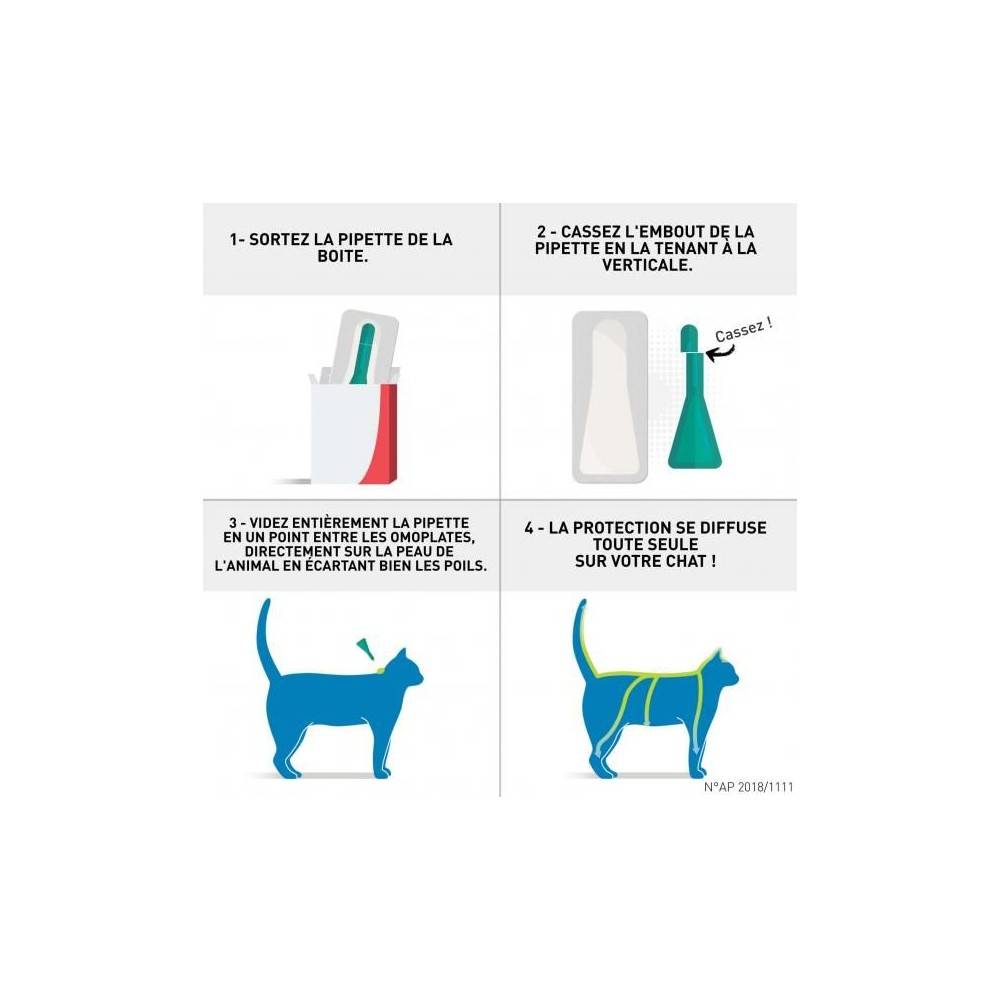 Frontline - FRONTLINE CHAT SPOT ON -  BOEHRINGER 3 pipettes - Image 2
