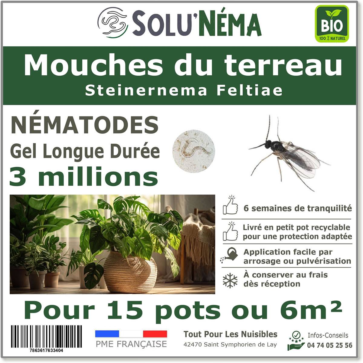 Solunéma - Nématodes SF contre la Mouche du Terreau - 3 millions Steinernema Feltiae - Traitement pour 12 à 15 pots soit environ 3m² - Image 1
