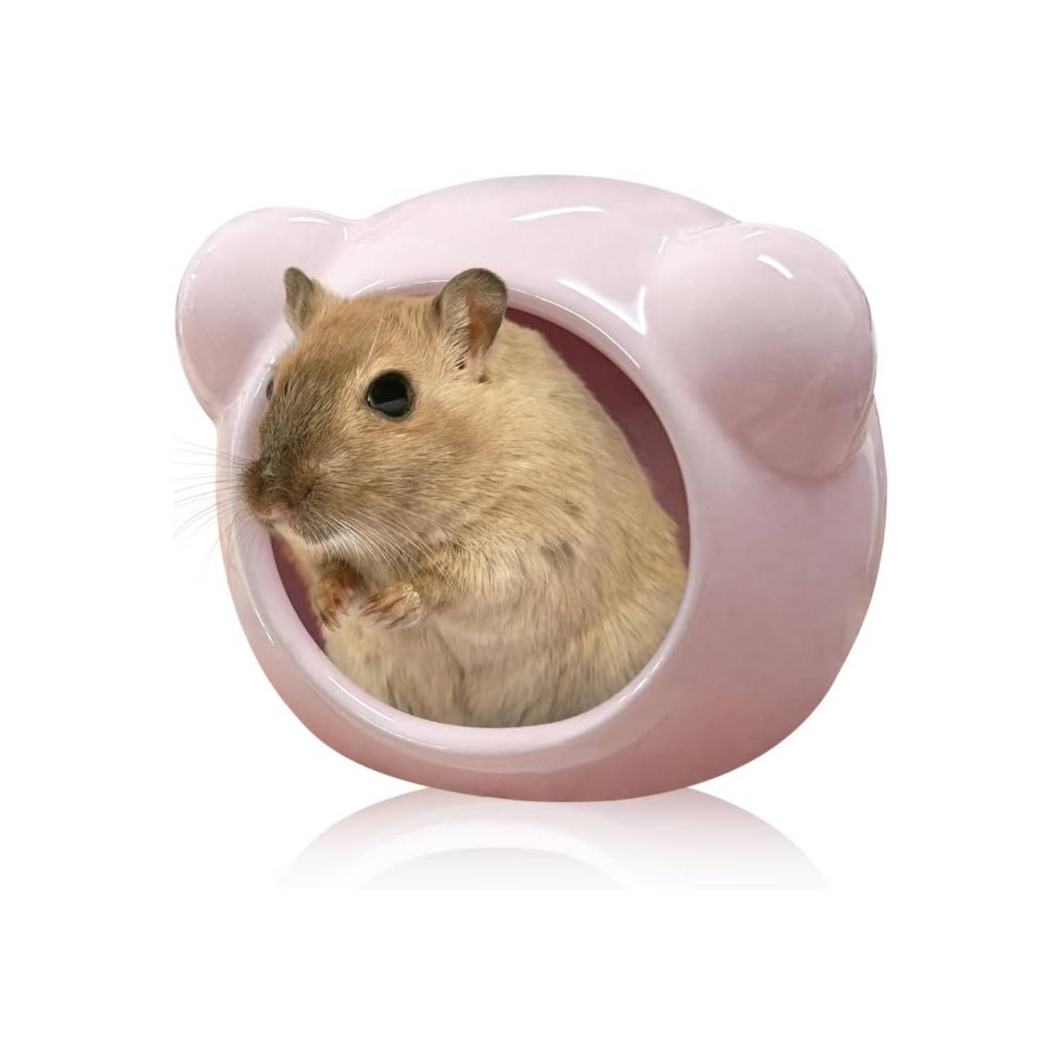 DtopbuyAge - Maison Fraîcheur Hamster - Céramique DtopbuyAge - Image 1