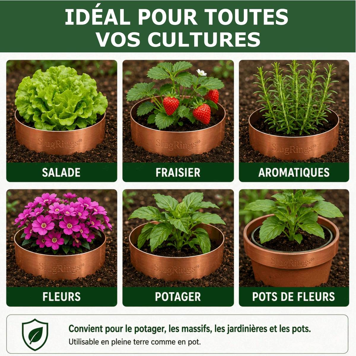 Tout pour les nuisibles - Anneau de Cuivre Anti-Limaces et Escargots SOLU'LIMACES – Ø17 cm - Protection des Salades, Fraisiers, Aromatiques, Potager et Fleurs - Image 3