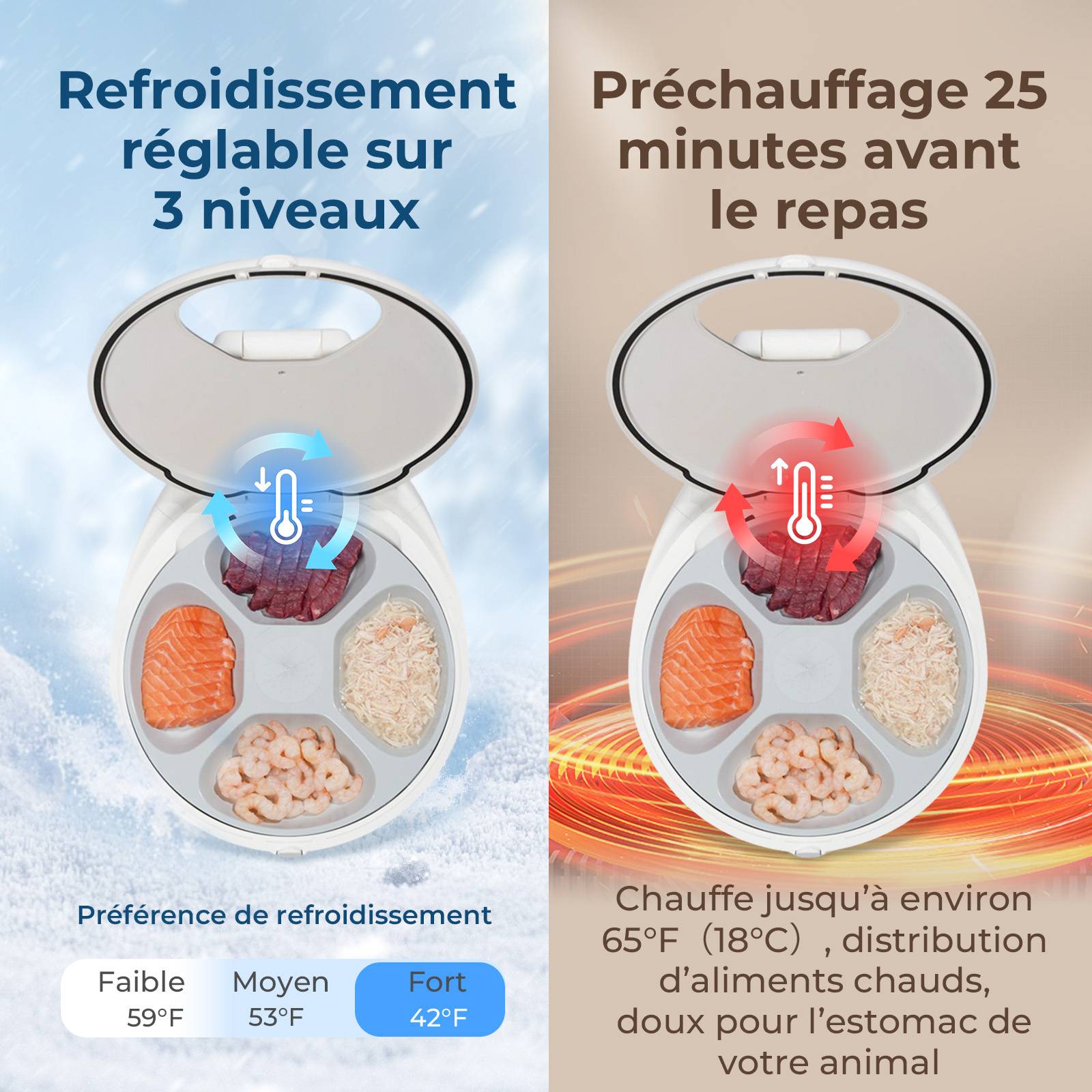 Sans Marque - Robotail F20 Distributeur Automatique Réfrigéré pour Chats, 4 Compartiments, Double Température - Image 5