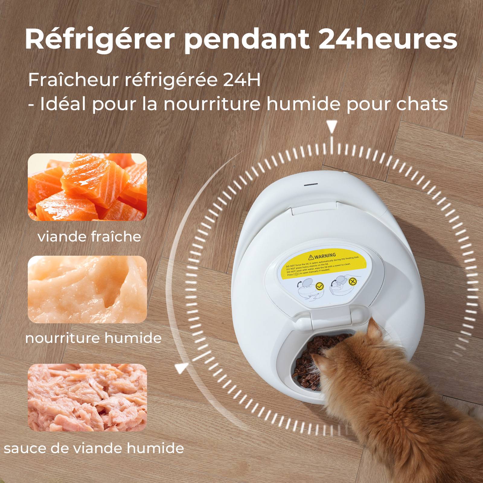 Sans Marque - Robotail F20 Distributeur Automatique Réfrigéré pour Chats, 4 Compartiments, Double Température - Image 3