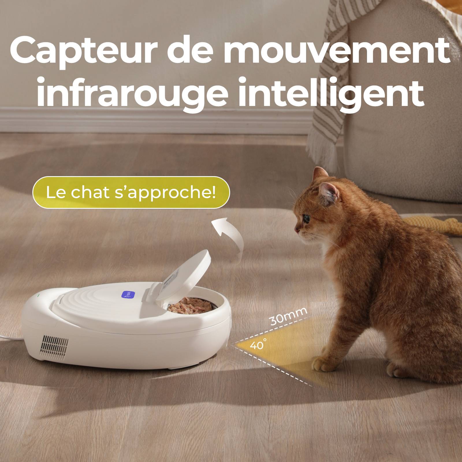 Sans Marque - Robotail F20 Distributeur Automatique Réfrigéré pour Chats, 4 Compartiments, Double Température - Image 7