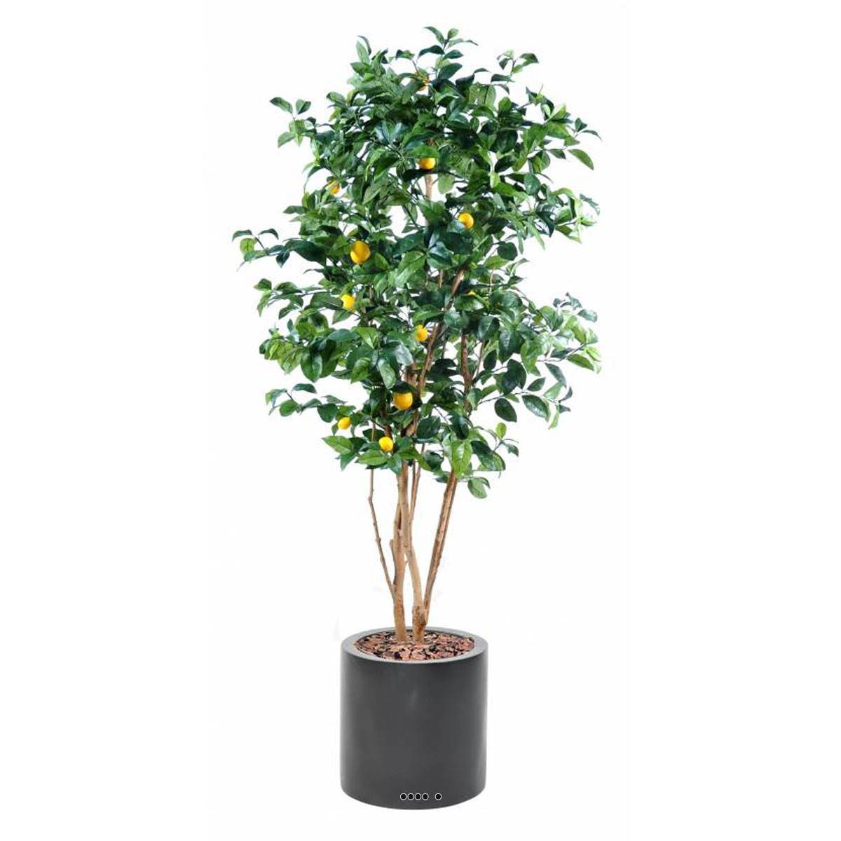 Artificielles - Citronnier factice tronc naturel en pot et fruits H180cm Jaune citron - dimhaut: H 180 cm - couleur: Jaune citron