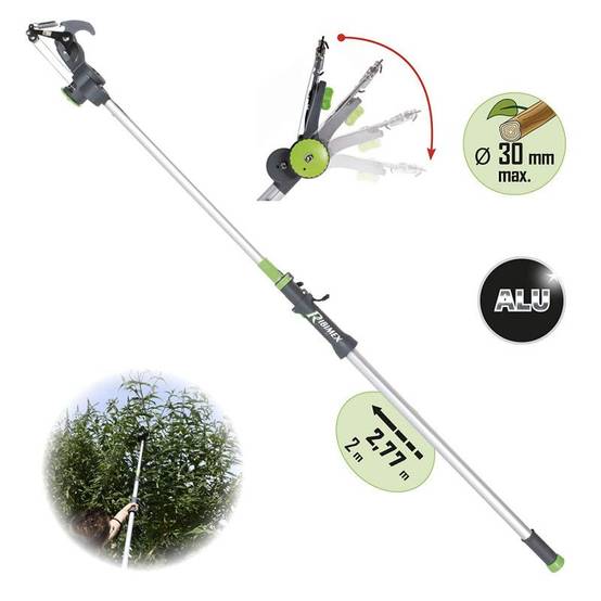 Ribimex - Echenilloir télescopique 2 mètres à 2,77 mètres tête orientable - Image 2
