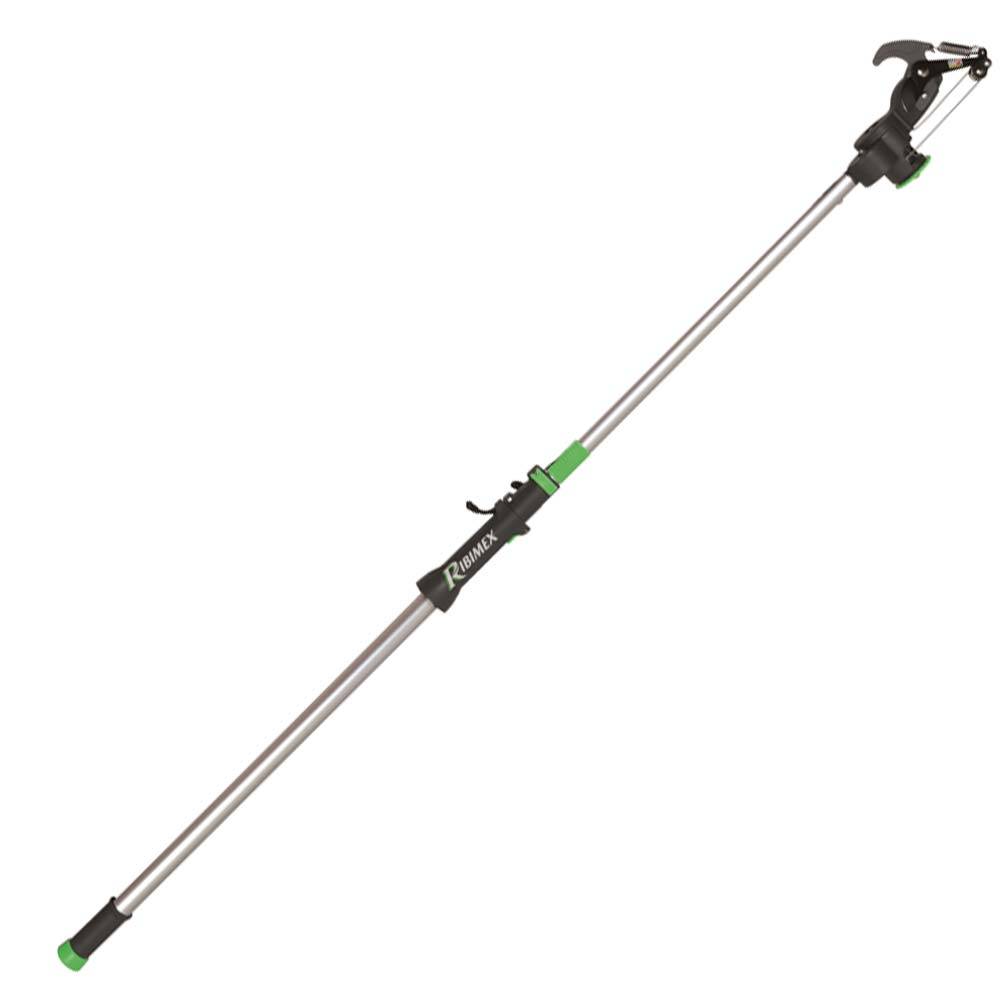 Ribimex - Echenilloir télescopique 2 mètres à 2,77 mètres tête orientable - Image 1