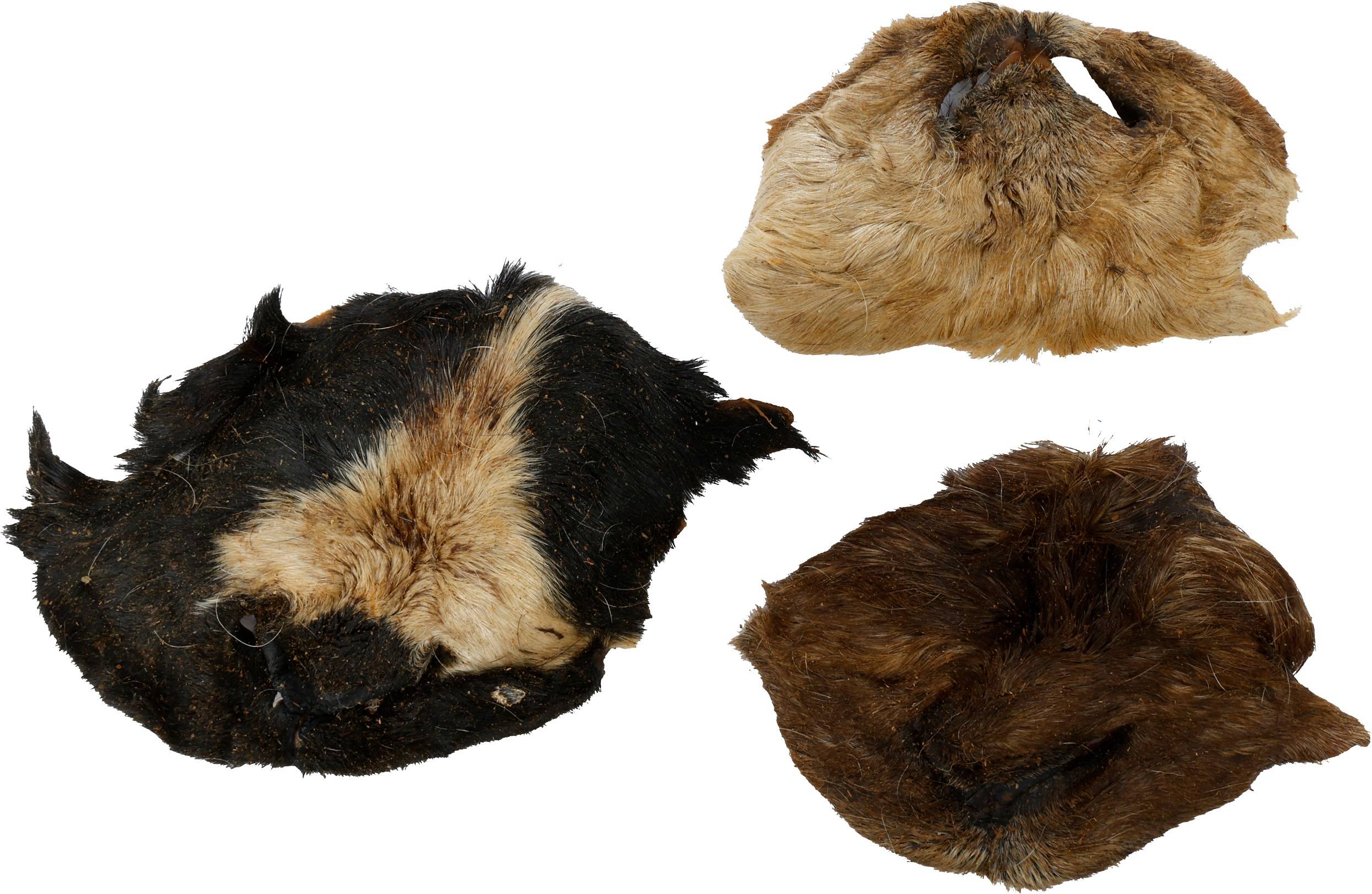 Friandises chien Nature Nez de mouton avec poils - Image 1