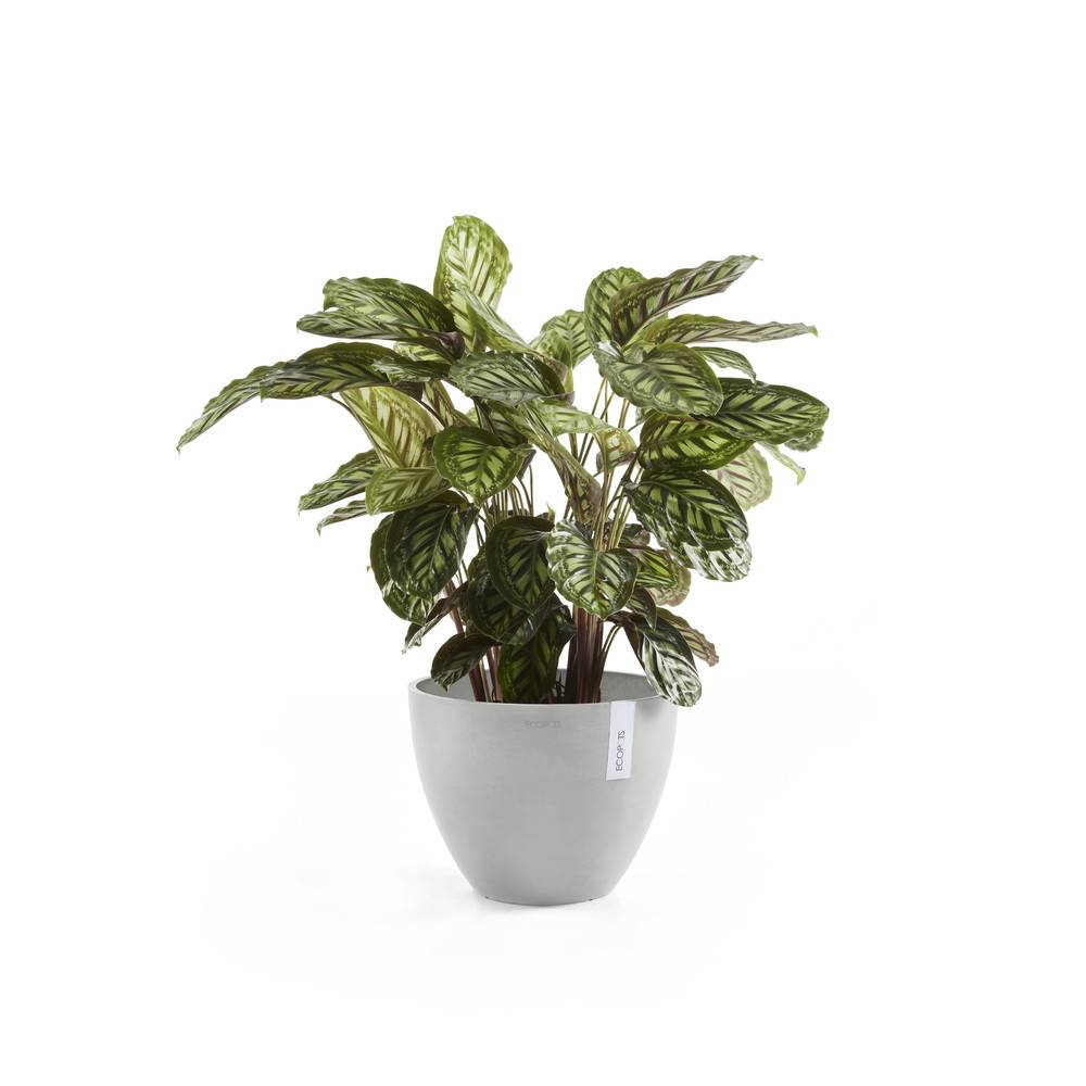 Ecopots - Pot Rond Antwerp 50 New Blanc Gris - Ø 50 x H. 37,5 cm - 52 L ECOPOTS - Image 1