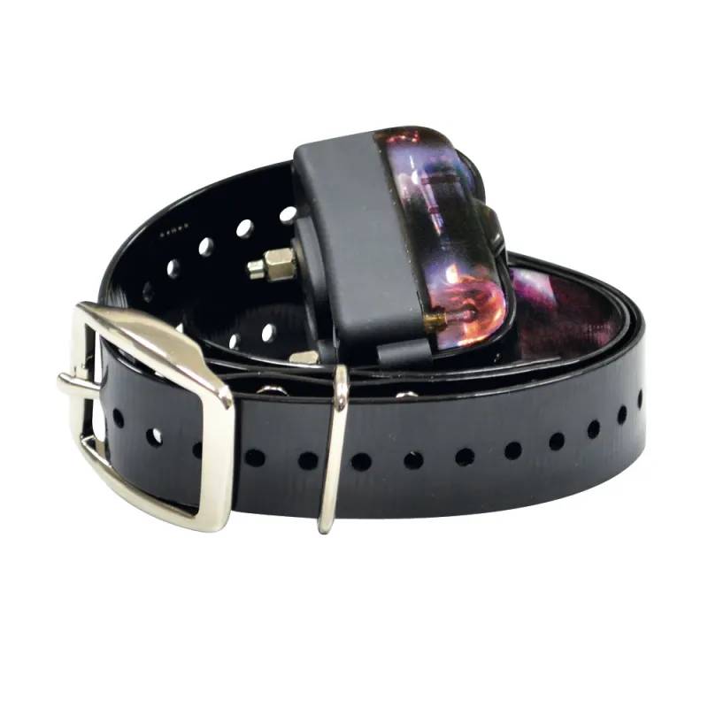 Autre - Collier de dressage DT-2000 - Image 3
