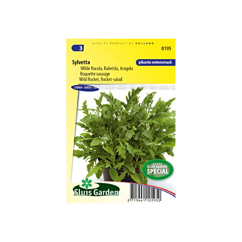 Roquette sauvage Sylvetta - Diplotaxis erucoides le sachet de 10000 graines environ (3g)