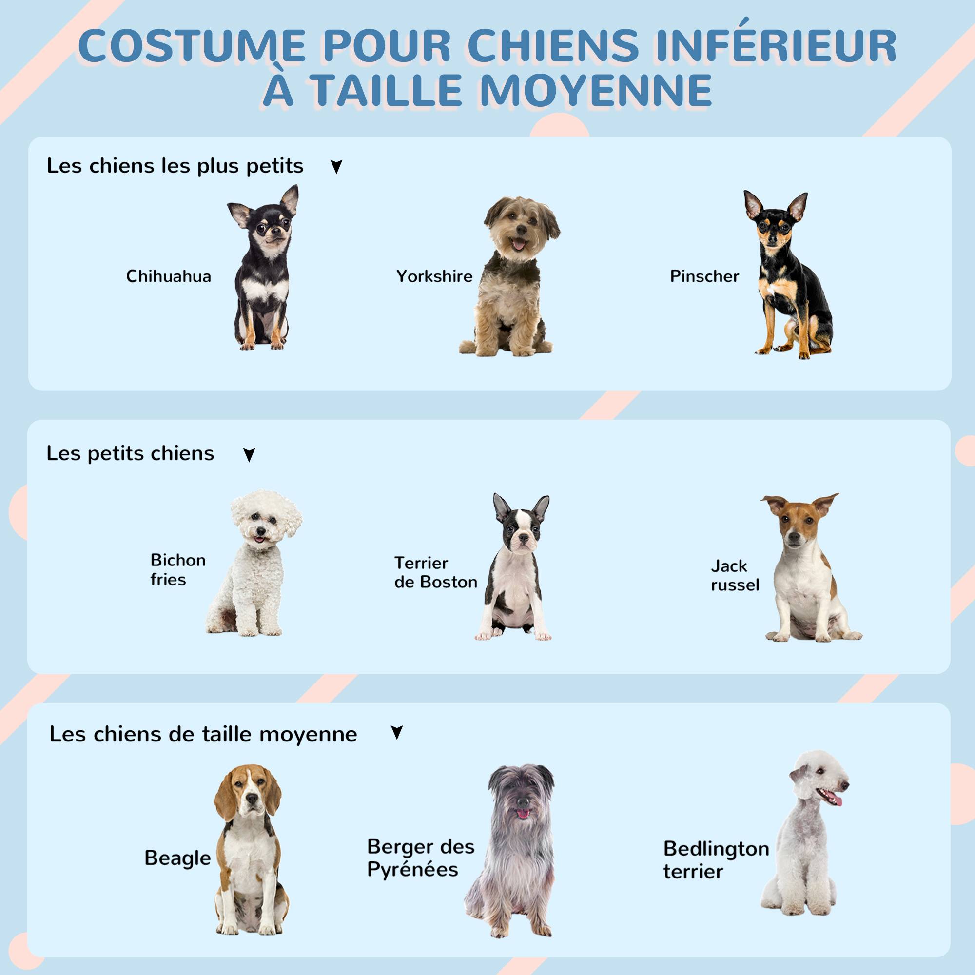 Sans Marque - Niche d'extérieur en PP blanc pour chiens de petite et moyenne taille - 65 x 75.7 x 63 cm - Image 9