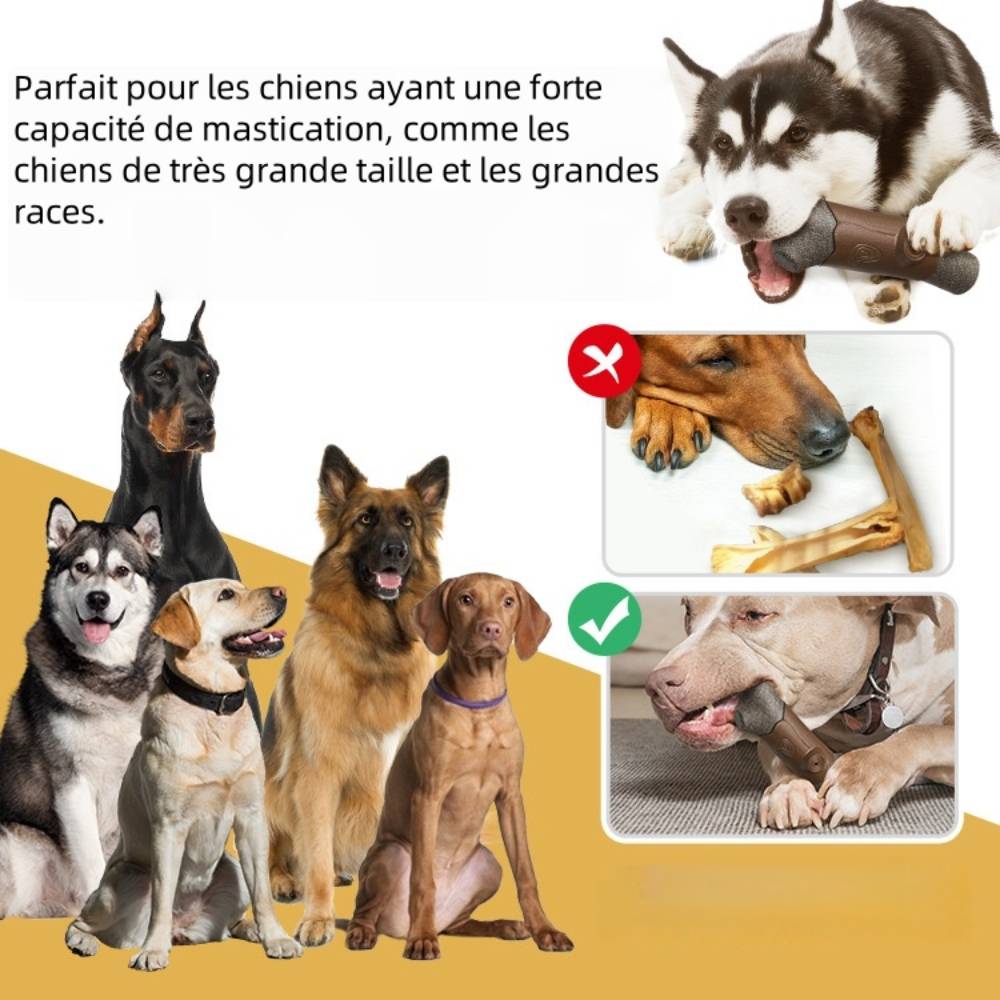 IntiMeg - Harnais pour chien et chat s - IntiMeg - Image 4